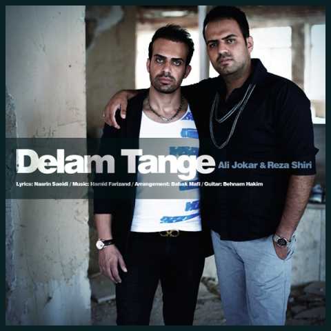 دانلود آهنگ رضا شیری و علی جوکار دلم تنگه 1 Reza Shiri Delam Tange Ft Ali Jokar